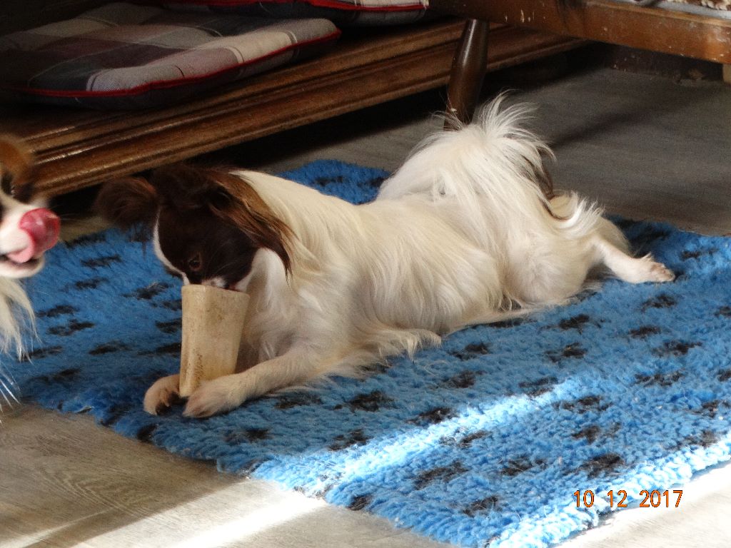 Mirabelle De La Vallée De La Py