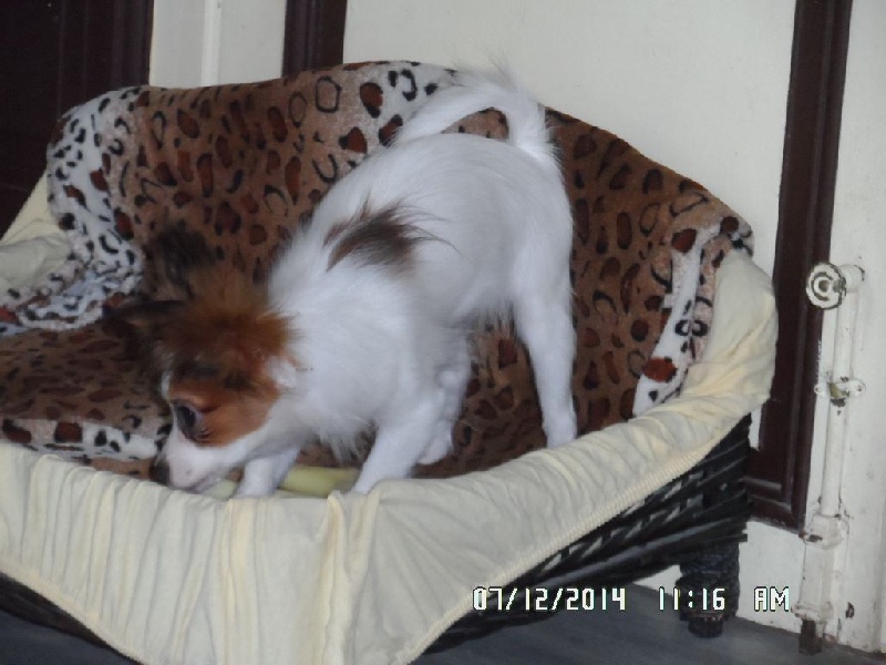 Jepp De La Vallée De La Py