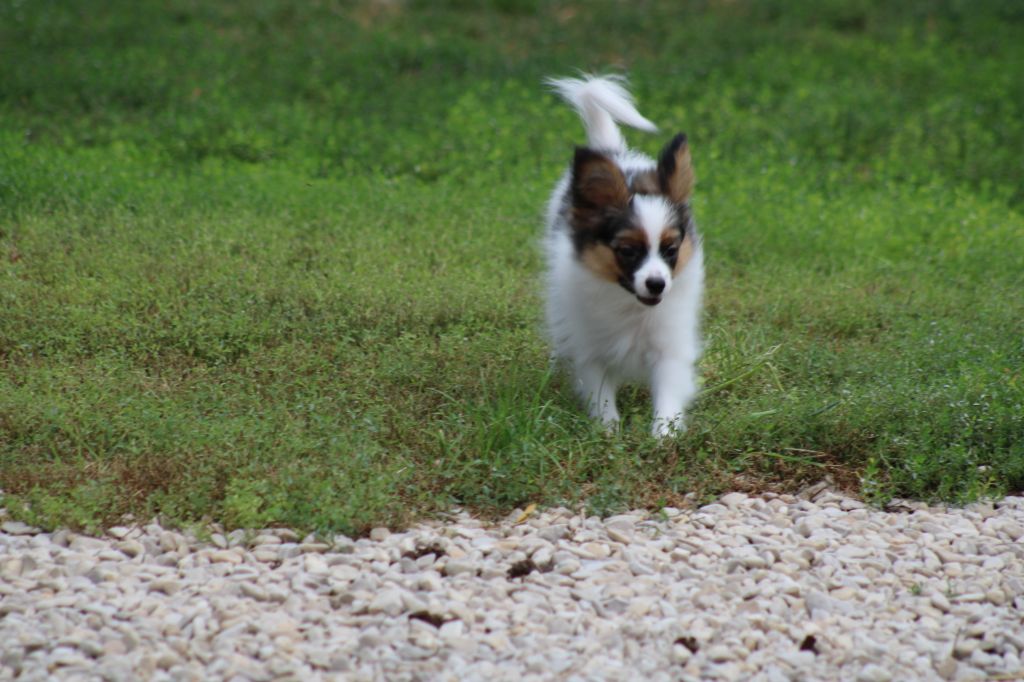 Ricky De La Vallée De La Py