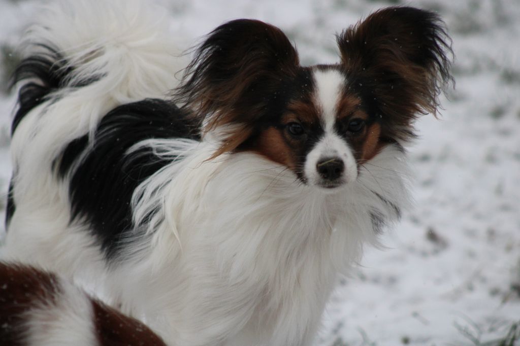 Ricky De La Vallée De La Py