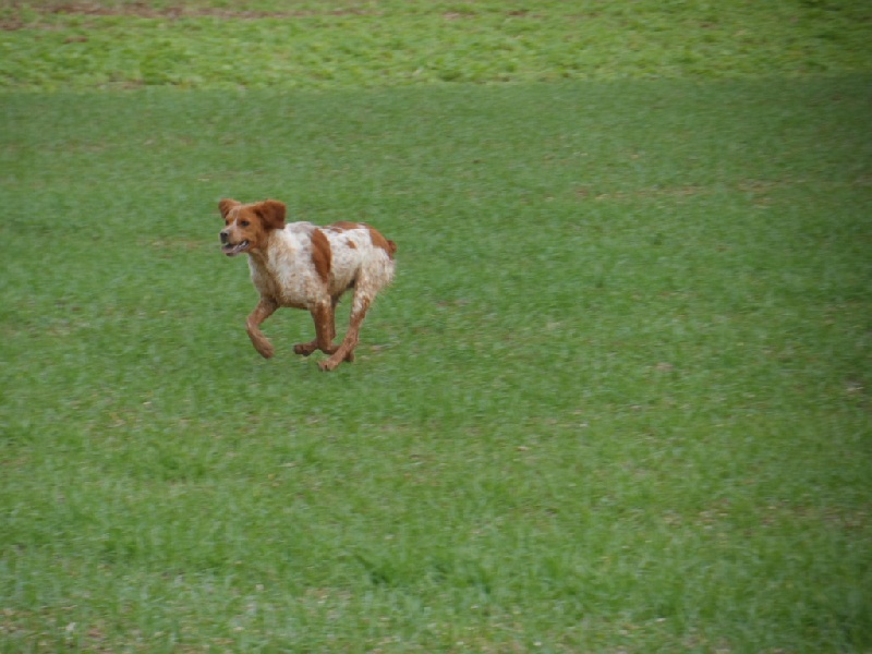 Hulma De La Vallée De La Py