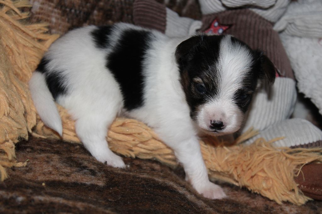 Ricky De La Vallée De La Py