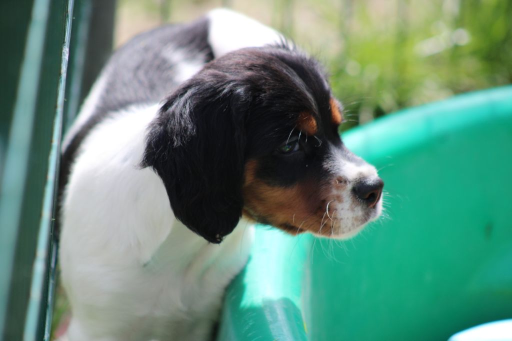 Vidoc De La Vallée De La Py