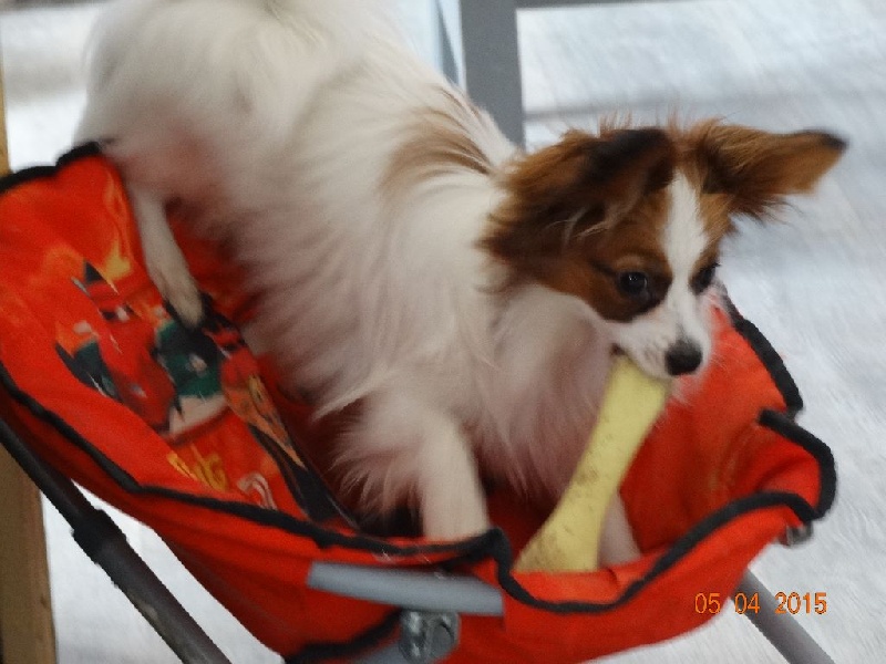 Jepp De La Vallée De La Py