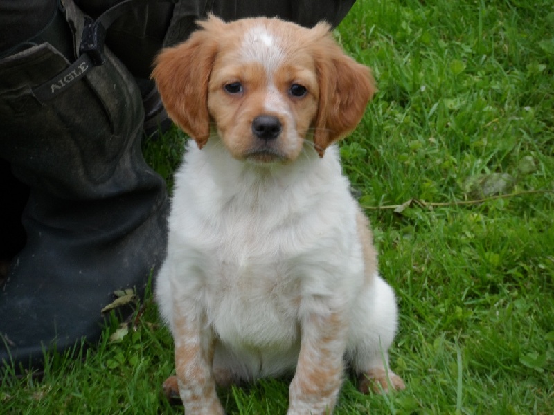 Hulma De La Vallée De La Py