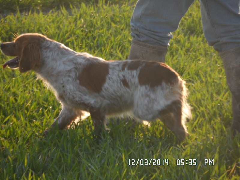 Hulma De La Vallée De La Py