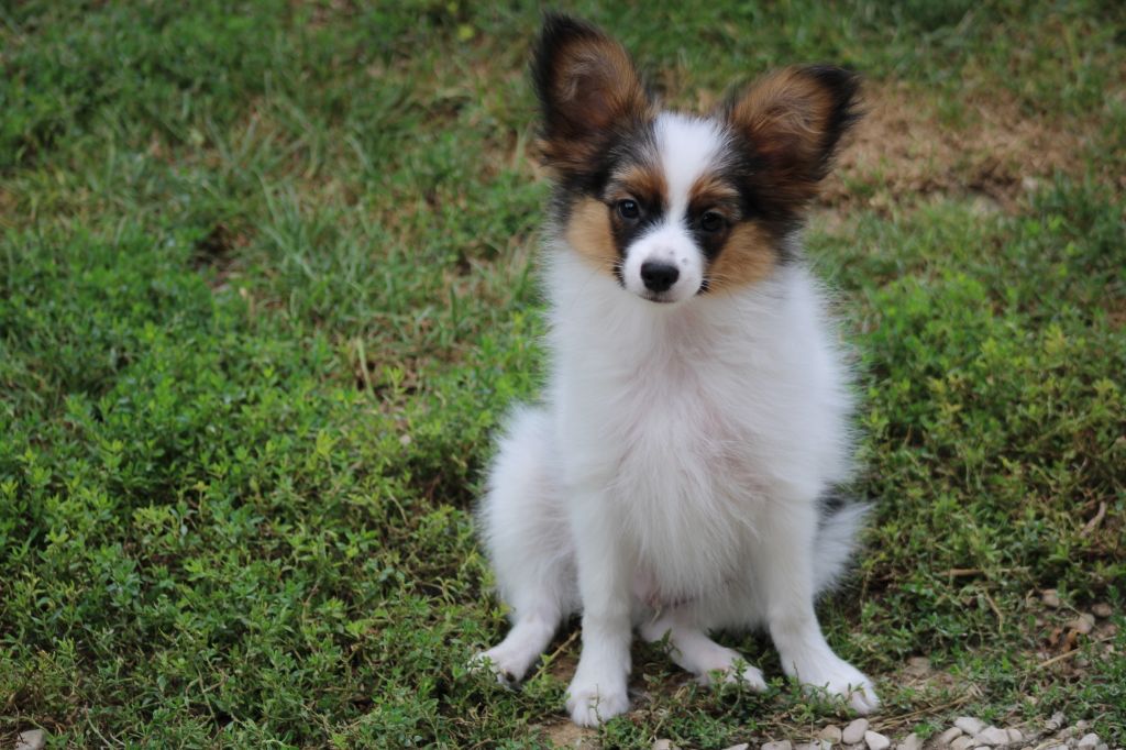 Ricky De La Vallée De La Py