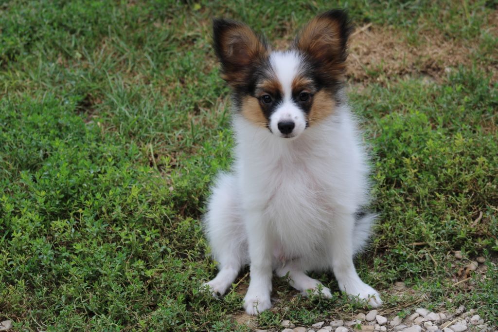 Ricky De La Vallée De La Py