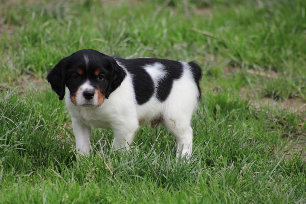 Vidoc De La Vallée De La Py