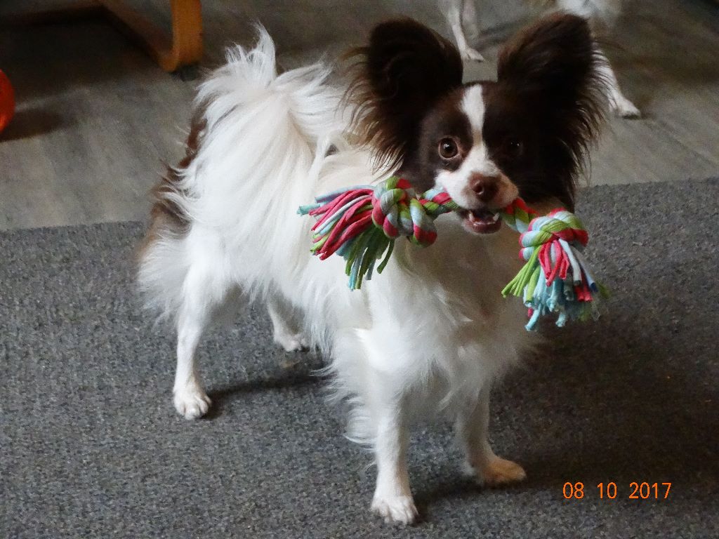 Mirabelle De La Vallée De La Py