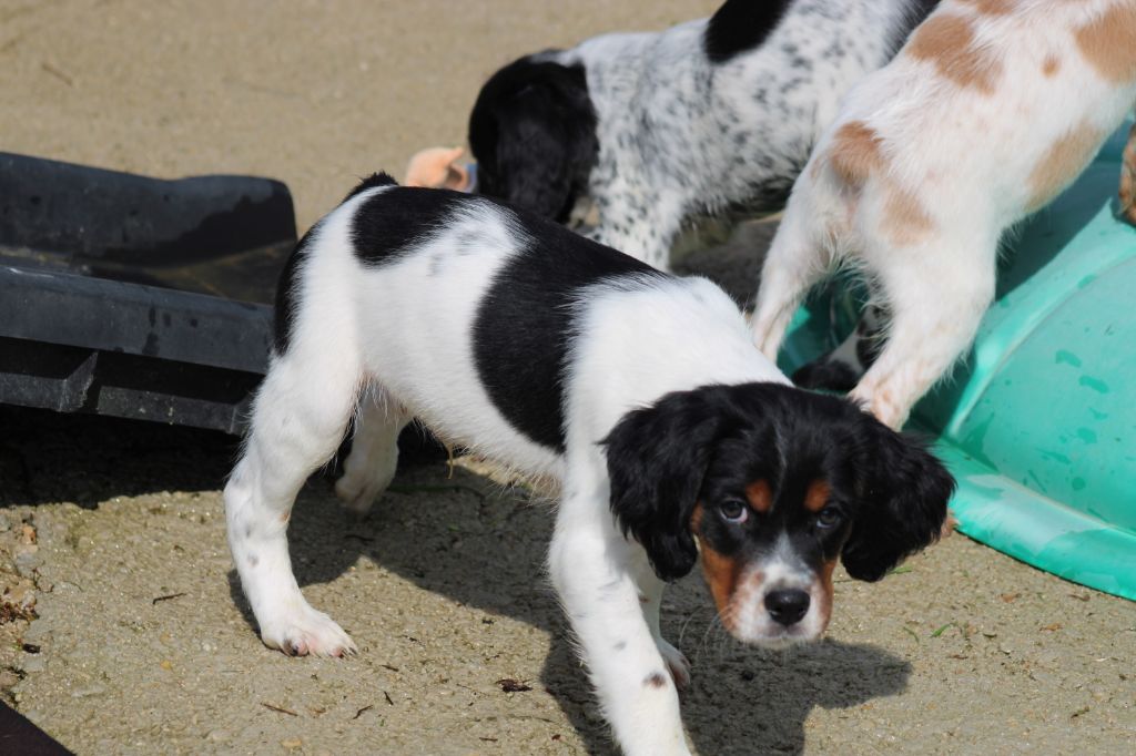 Vidoc De La Vallée De La Py