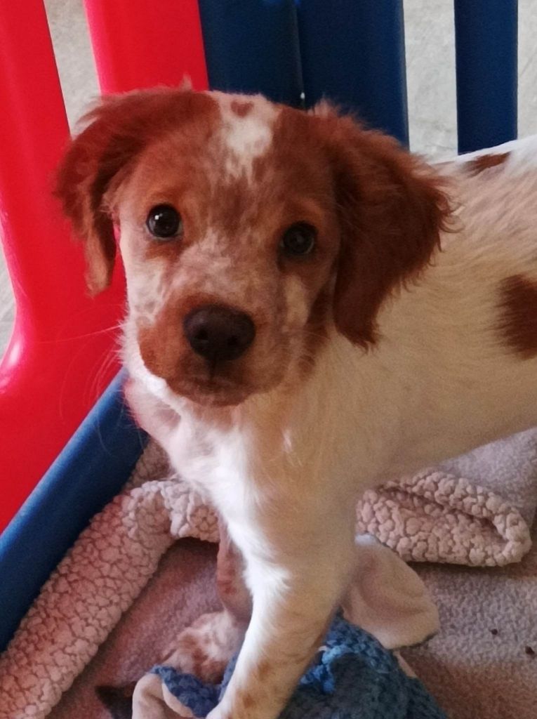 Tcho De La Vallée De La Py