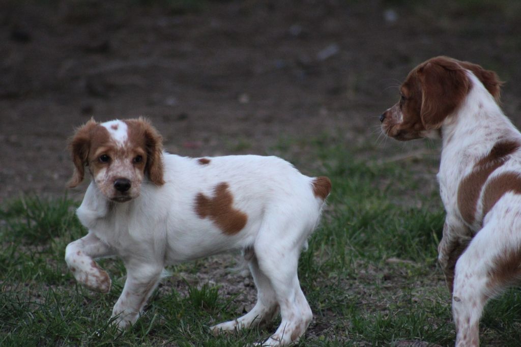 Tcho De La Vallée De La Py