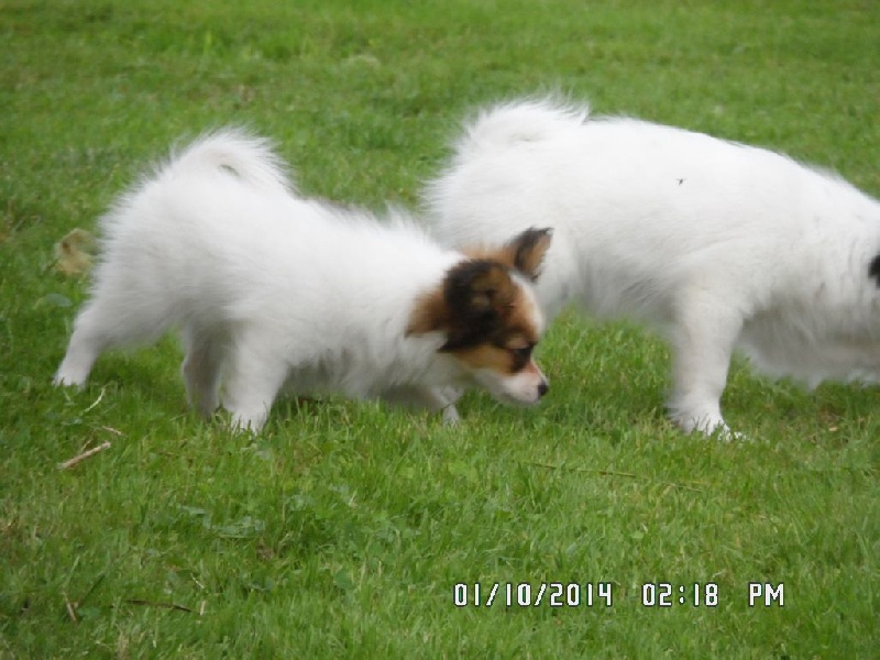 Jepp De La Vallée De La Py