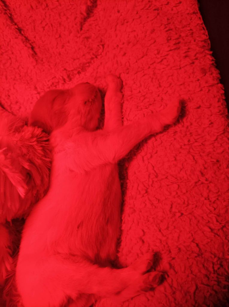 Tcho De La Vallée De La Py