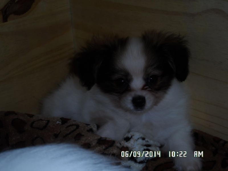 Jepp De La Vallée De La Py