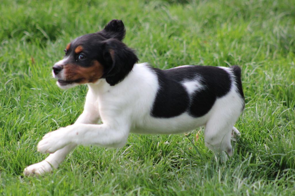 Vidoc De La Vallée De La Py