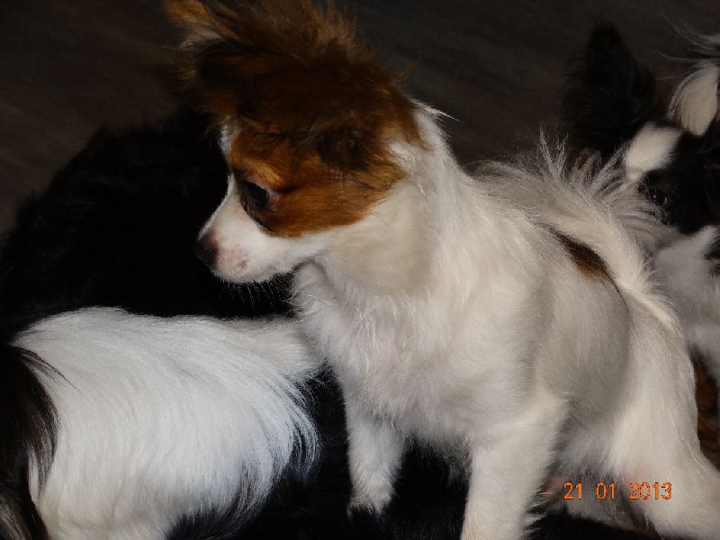 Jepp De La Vallée De La Py