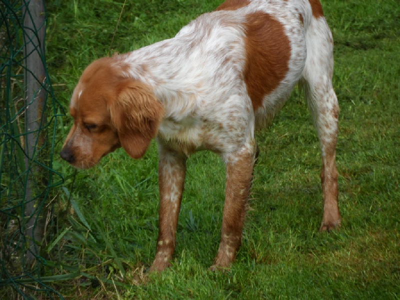 Hulma De La Vallée De La Py