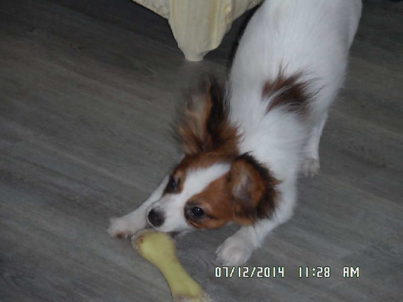 Jepp De La Vallée De La Py