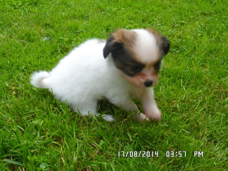 Jepp De La Vallée De La Py