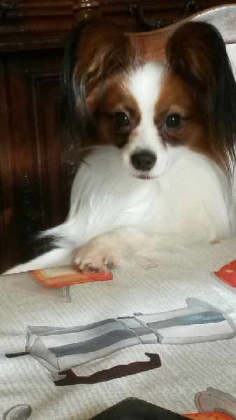 Jepp De La Vallée De La Py