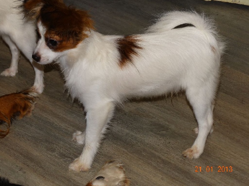 Jepp De La Vallée De La Py