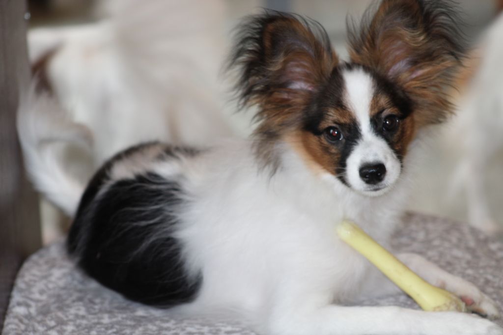 Ricky De La Vallée De La Py