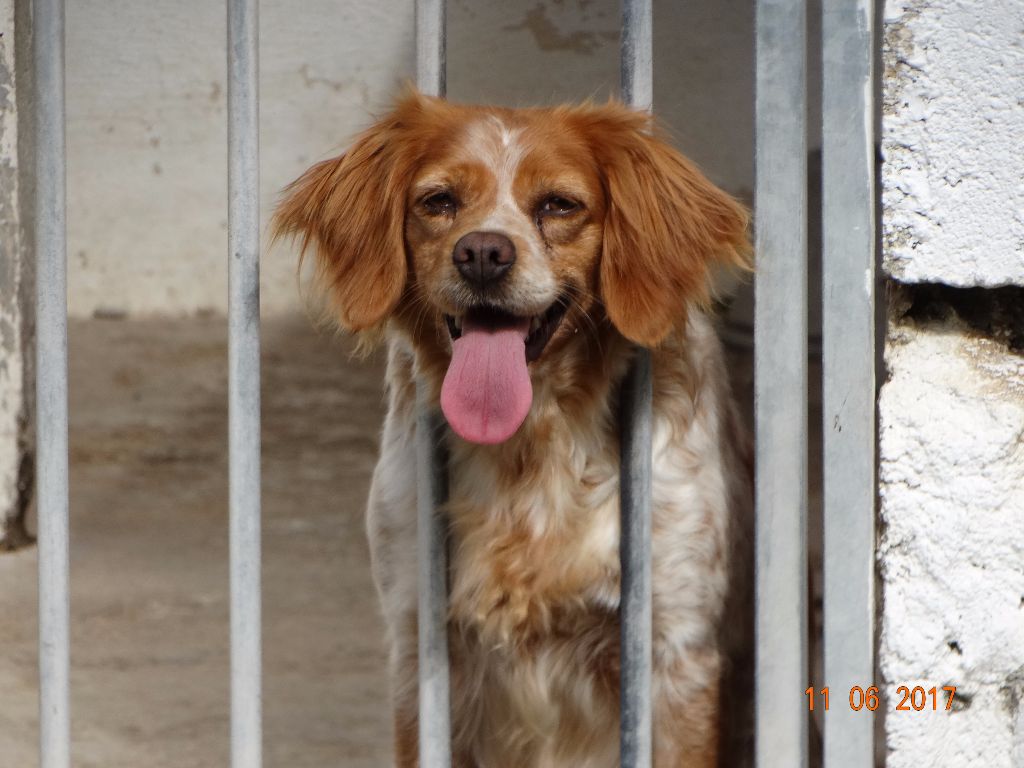 Hulma De La Vallée De La Py