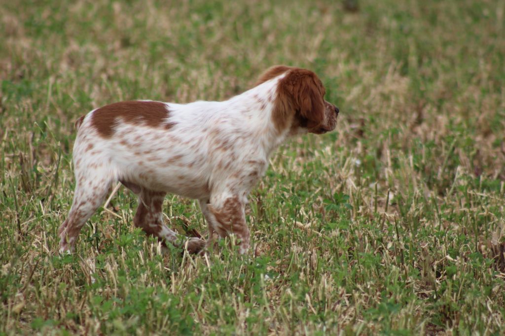 Artus De La Vallée De La Py