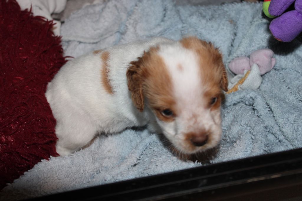 Tcho De La Vallée De La Py