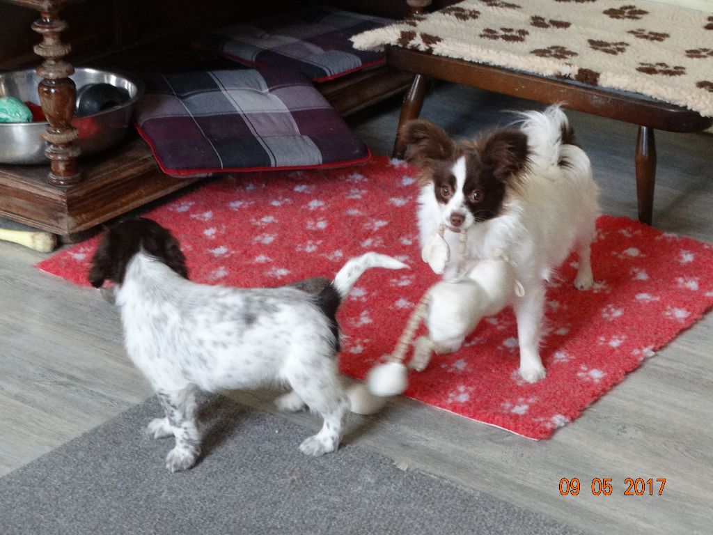 Mirabelle De La Vallée De La Py