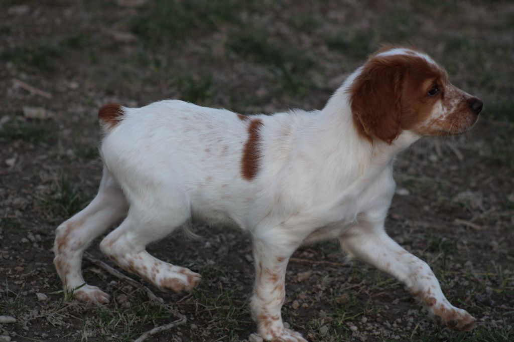 Tcho De La Vallée De La Py