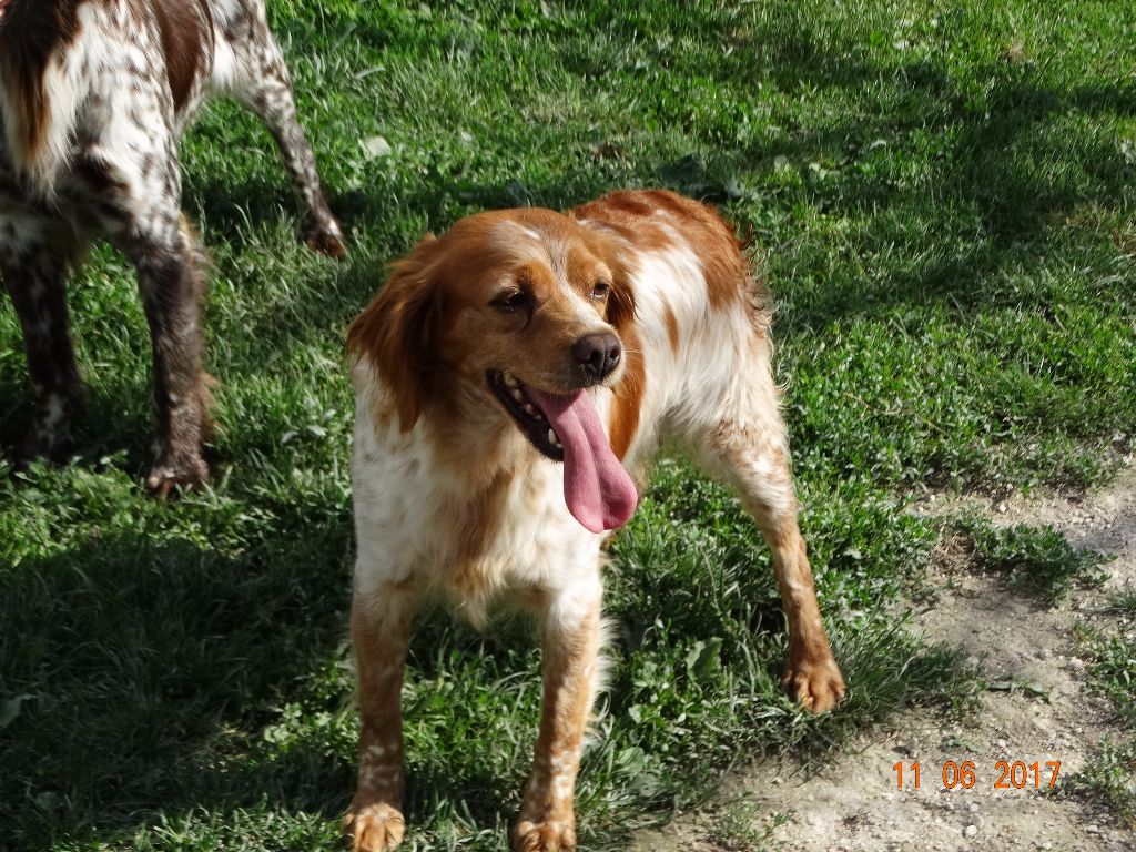 Hulma De La Vallée De La Py