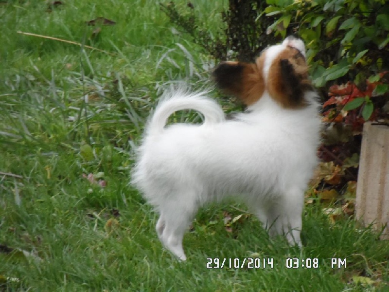 Jepp De La Vallée De La Py