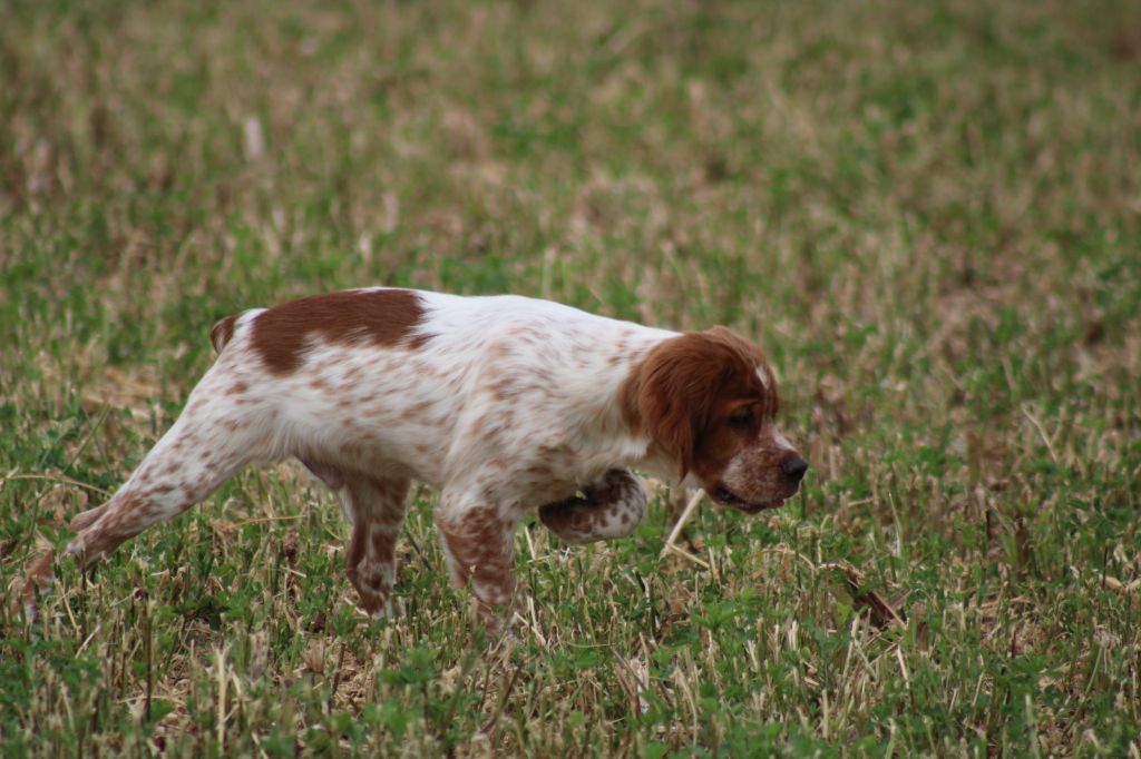 Artus De La Vallée De La Py