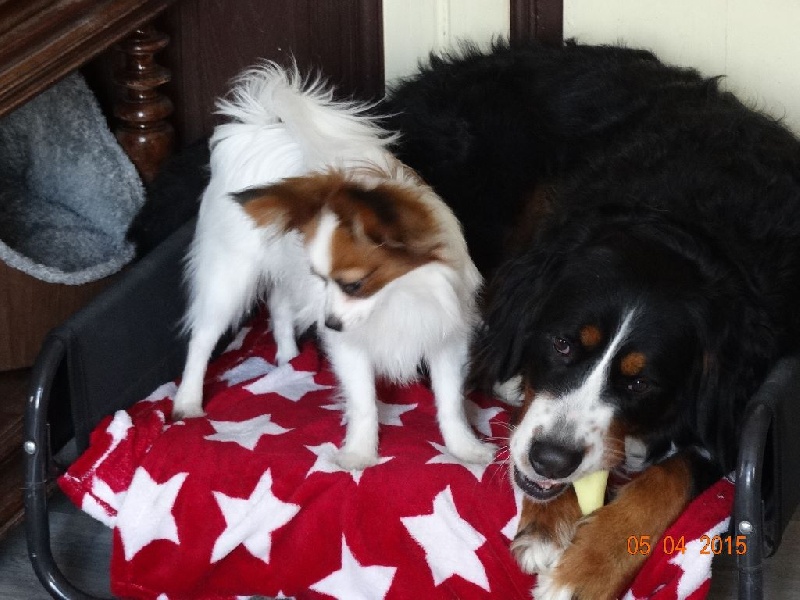 Jepp De La Vallée De La Py