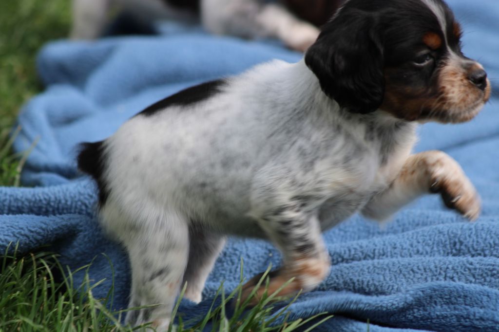 Publication : De La Vallée De La Py