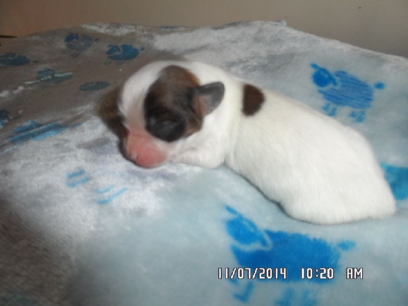 Jepp De La Vallée De La Py