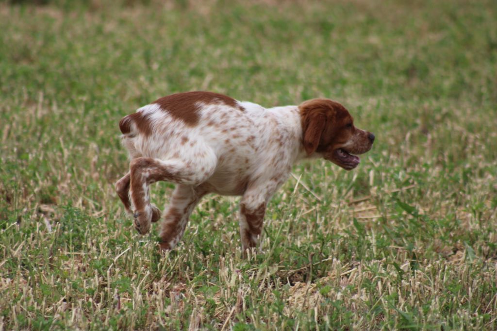 Artus De La Vallée De La Py