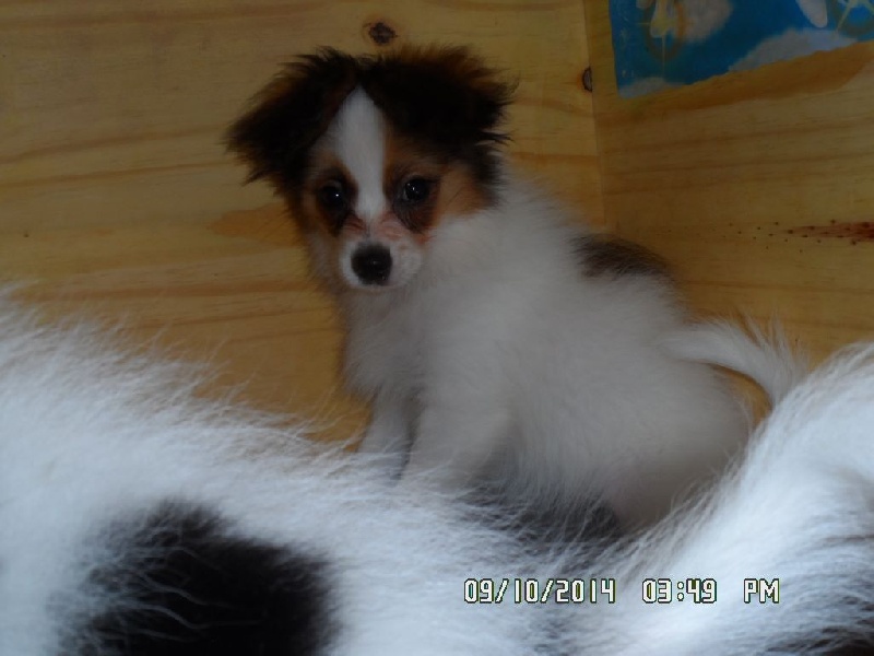 Jepp De La Vallée De La Py