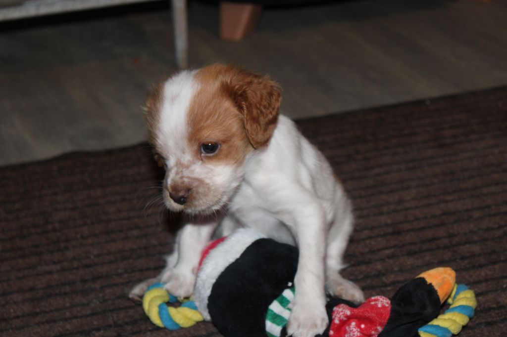 Tcho De La Vallée De La Py