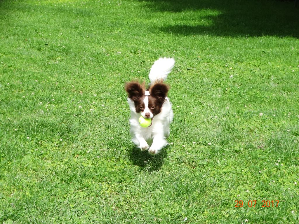 Mirabelle De La Vallée De La Py