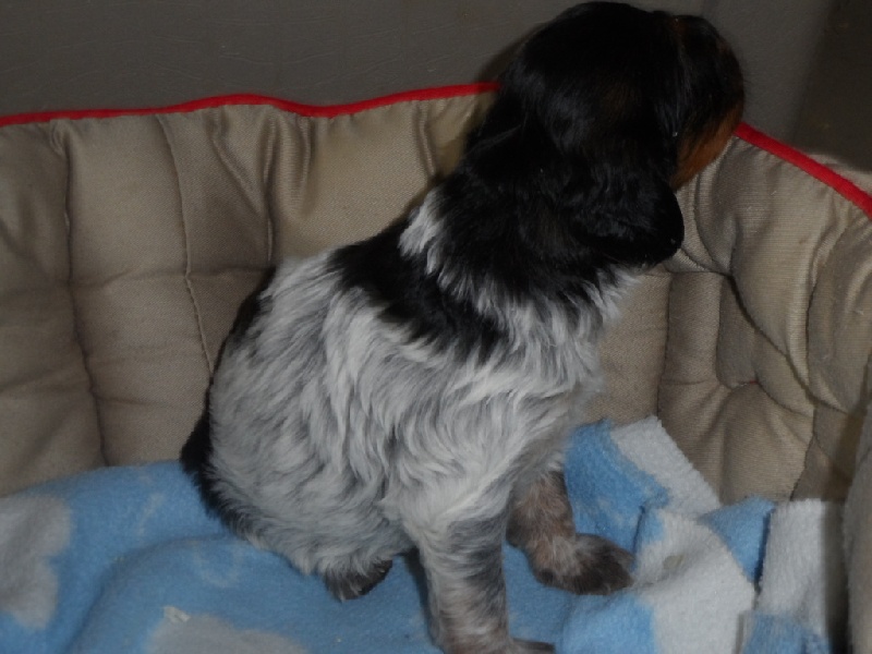 Harper De La Vallée De La Py