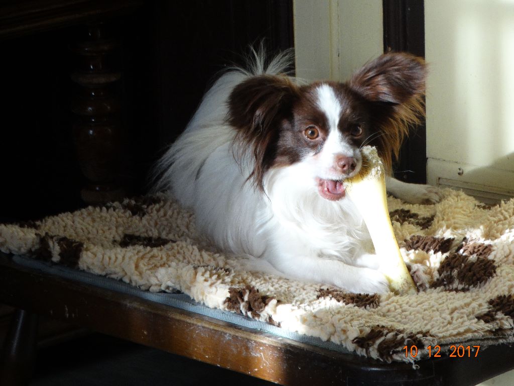 Mirabelle De La Vallée De La Py