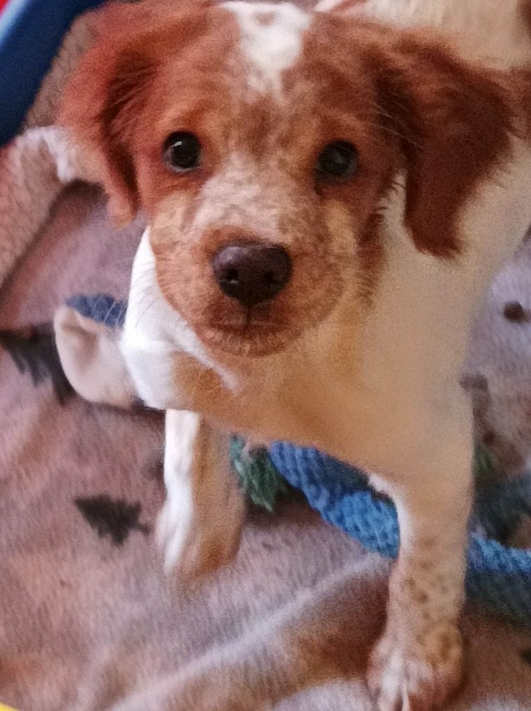 Tcho De La Vallée De La Py