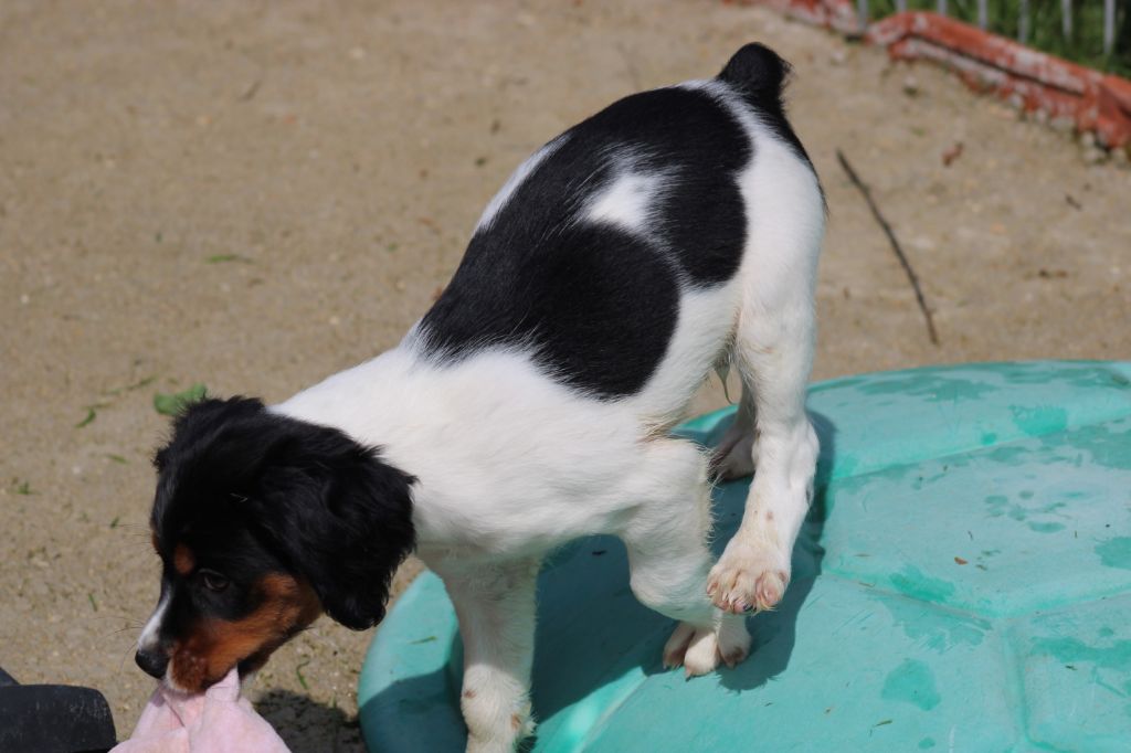 Vidoc De La Vallée De La Py