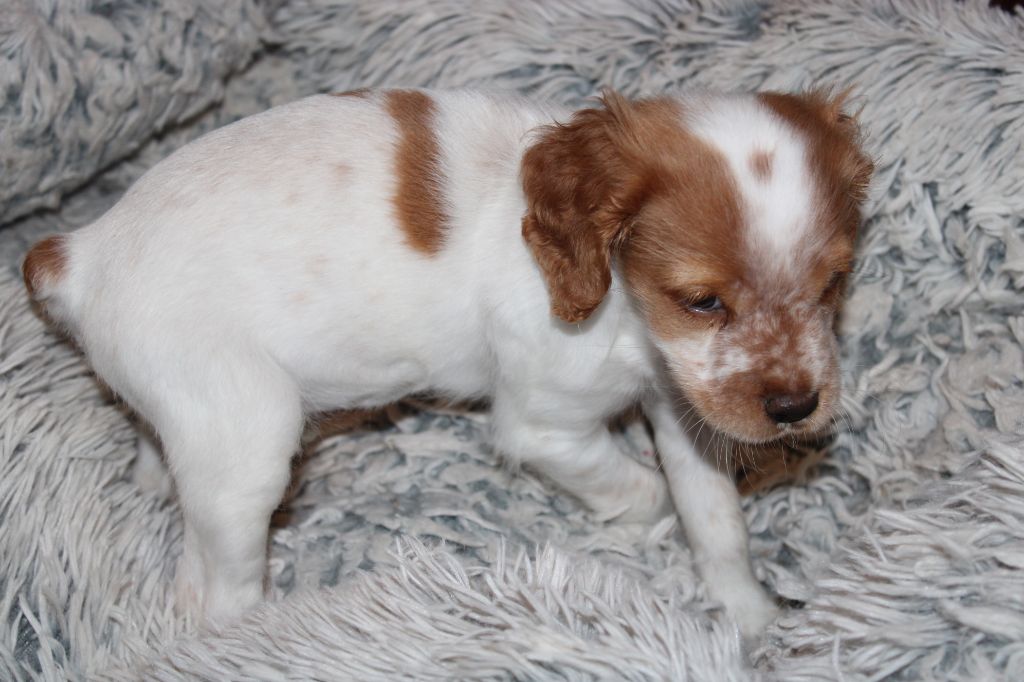 Tcho De La Vallée De La Py