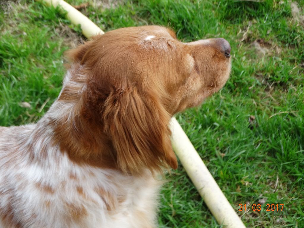 Hulma De La Vallée De La Py