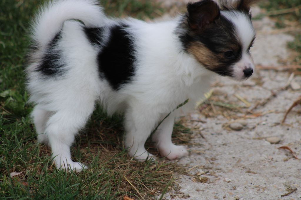 Ricky De La Vallée De La Py